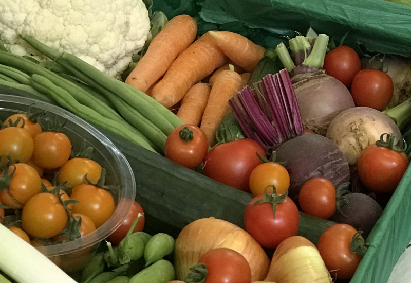 Luing Horticultural Society